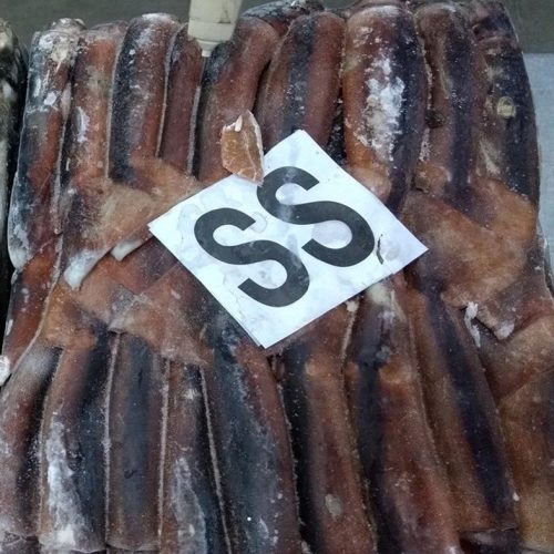 Calamar Entero Congelado a Bordo 2