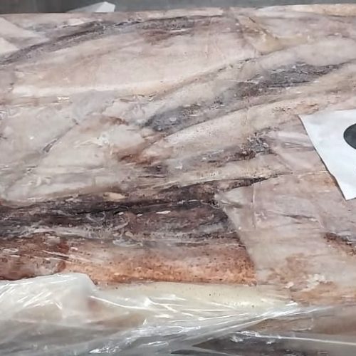 Vaina de Calamar Congelada en Tierra